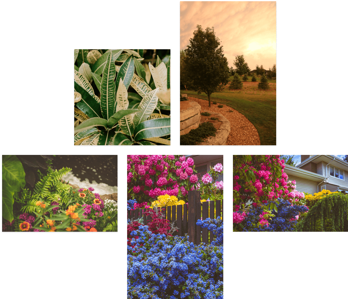Collage of landscaping pictures.